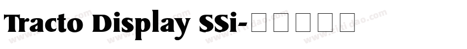 Tracto Display SSi字体转换